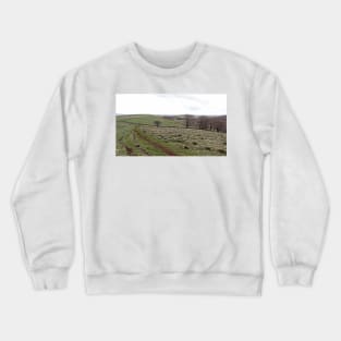 GR_012_WGC Crewneck Sweatshirt